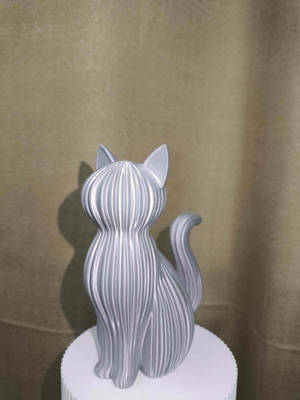 Gato — Pequeno