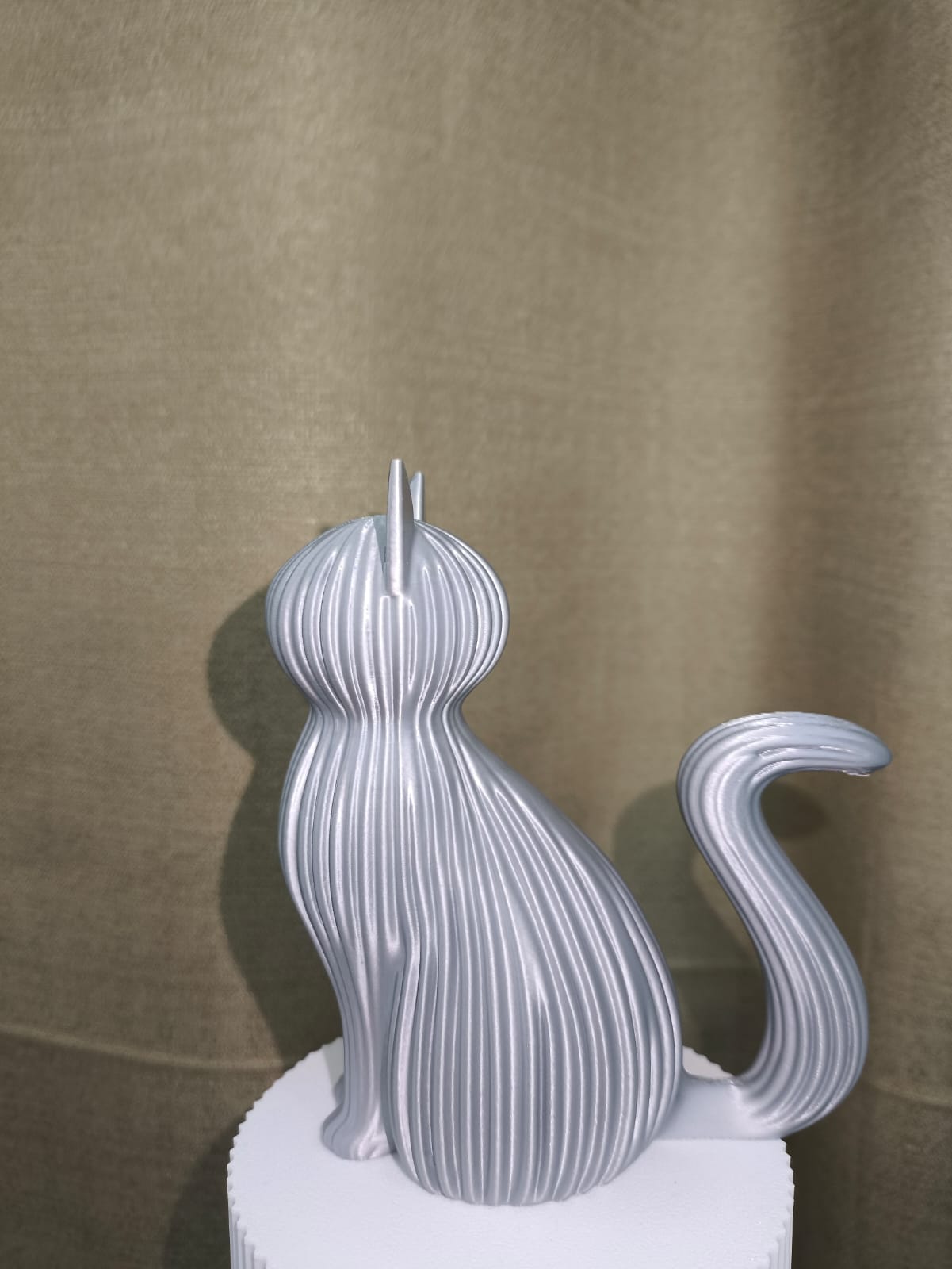 Gato — Pequeno