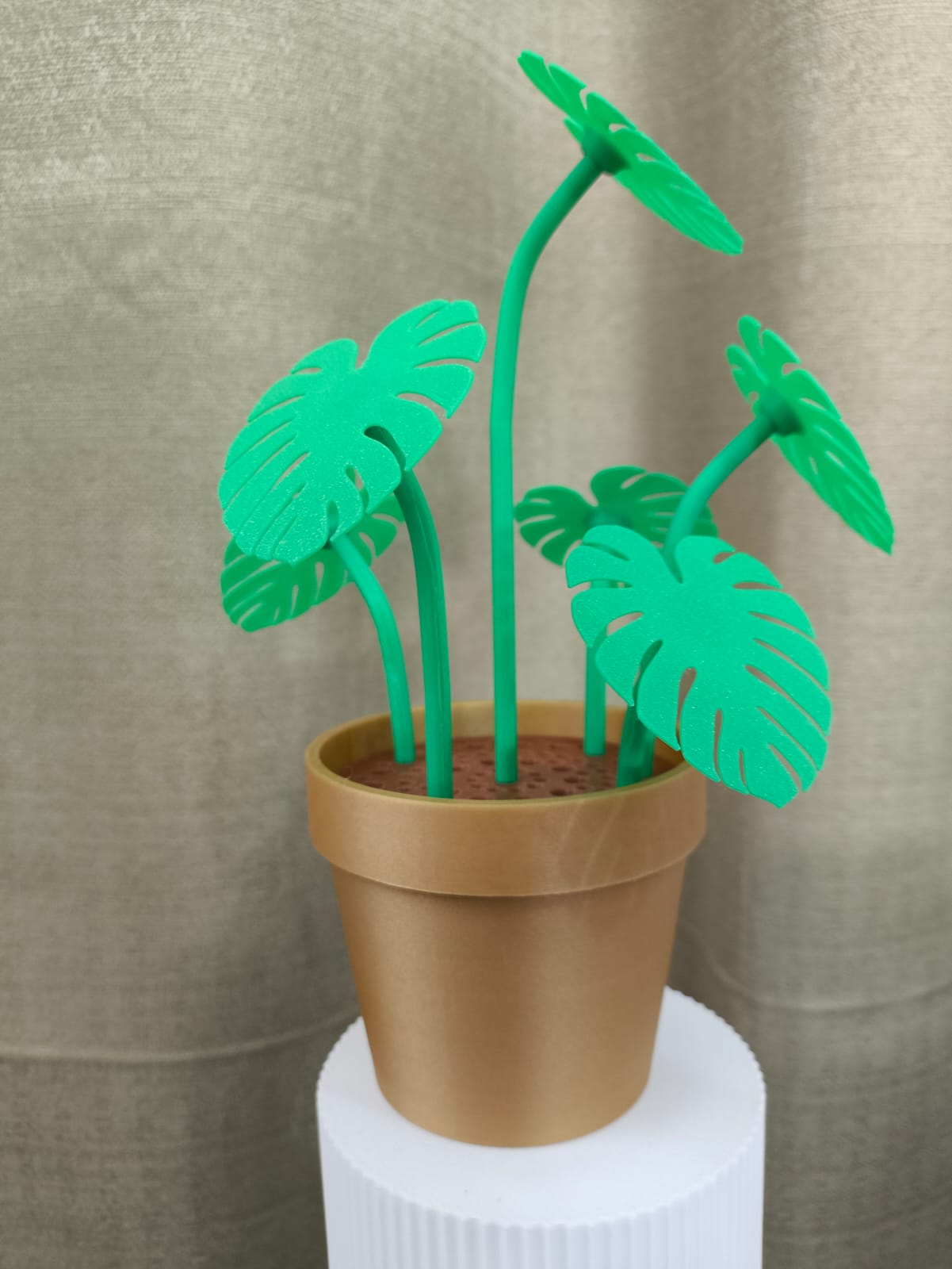 Monstera de Vaso — Verde